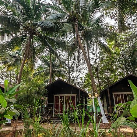The Exotica Agonda Hotel Eksteriør billede