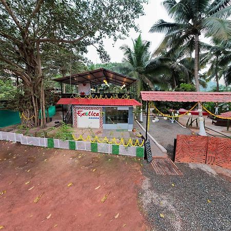 The Exotica Agonda Hotel Eksteriør billede