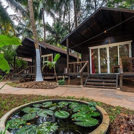 The Exotica Agonda Hotel Eksteriør billede