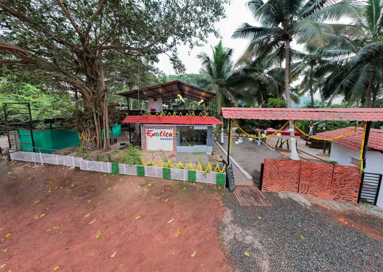 The Exotica Agonda Hotel Eksteriør billede