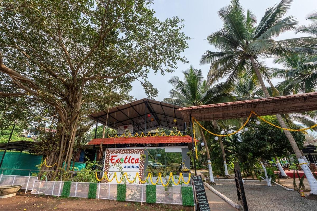 The Exotica Agonda Hotel Eksteriør billede